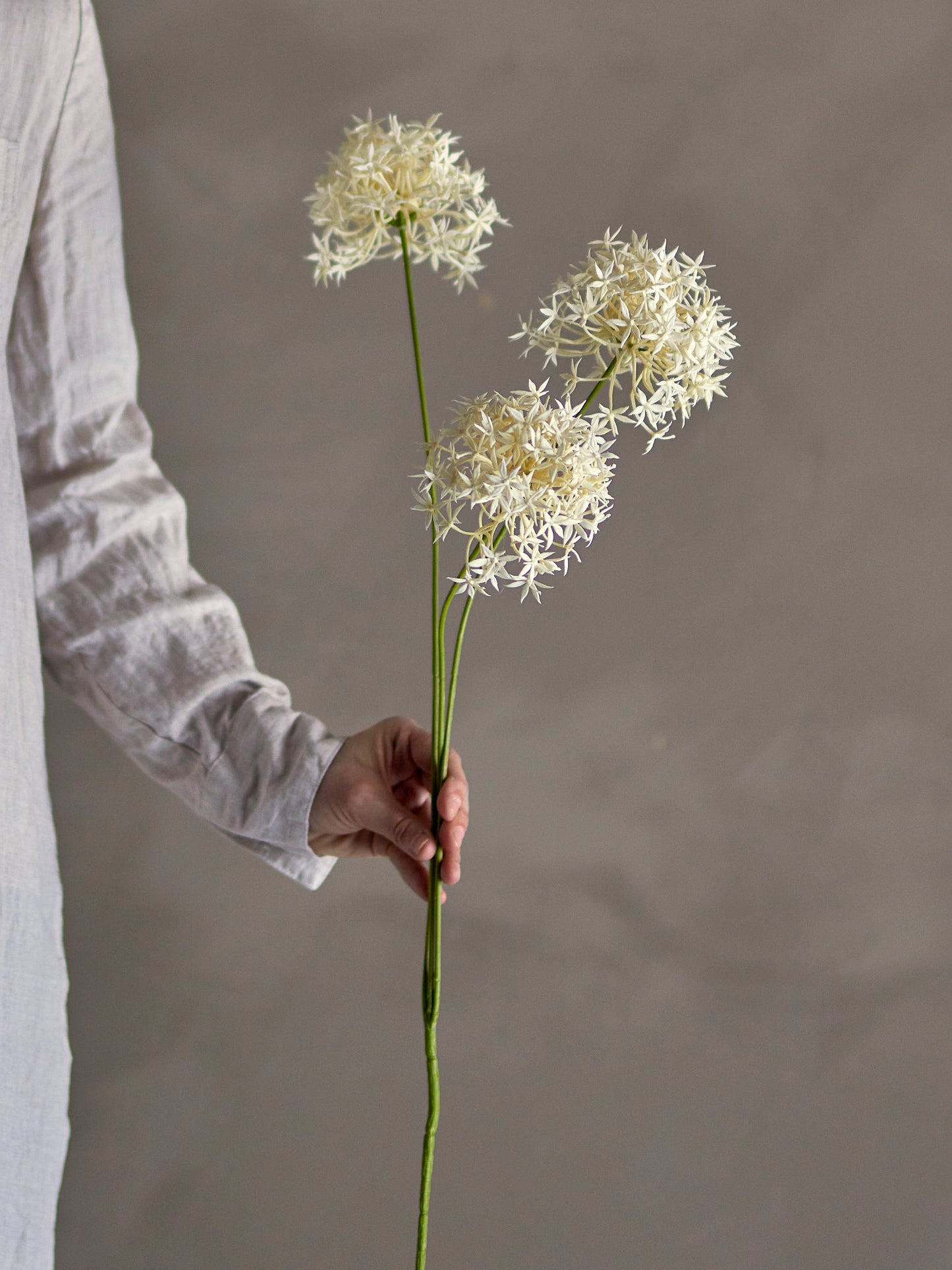 Allium Stilk - Hvid - Kunstige Blomster