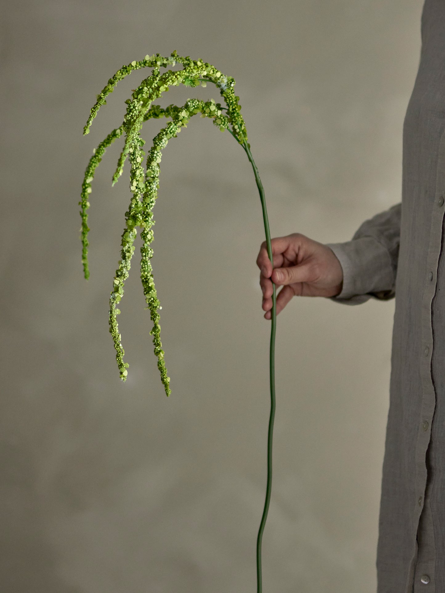 Foxtail Stilk - Grøn - Kunstige Blomster