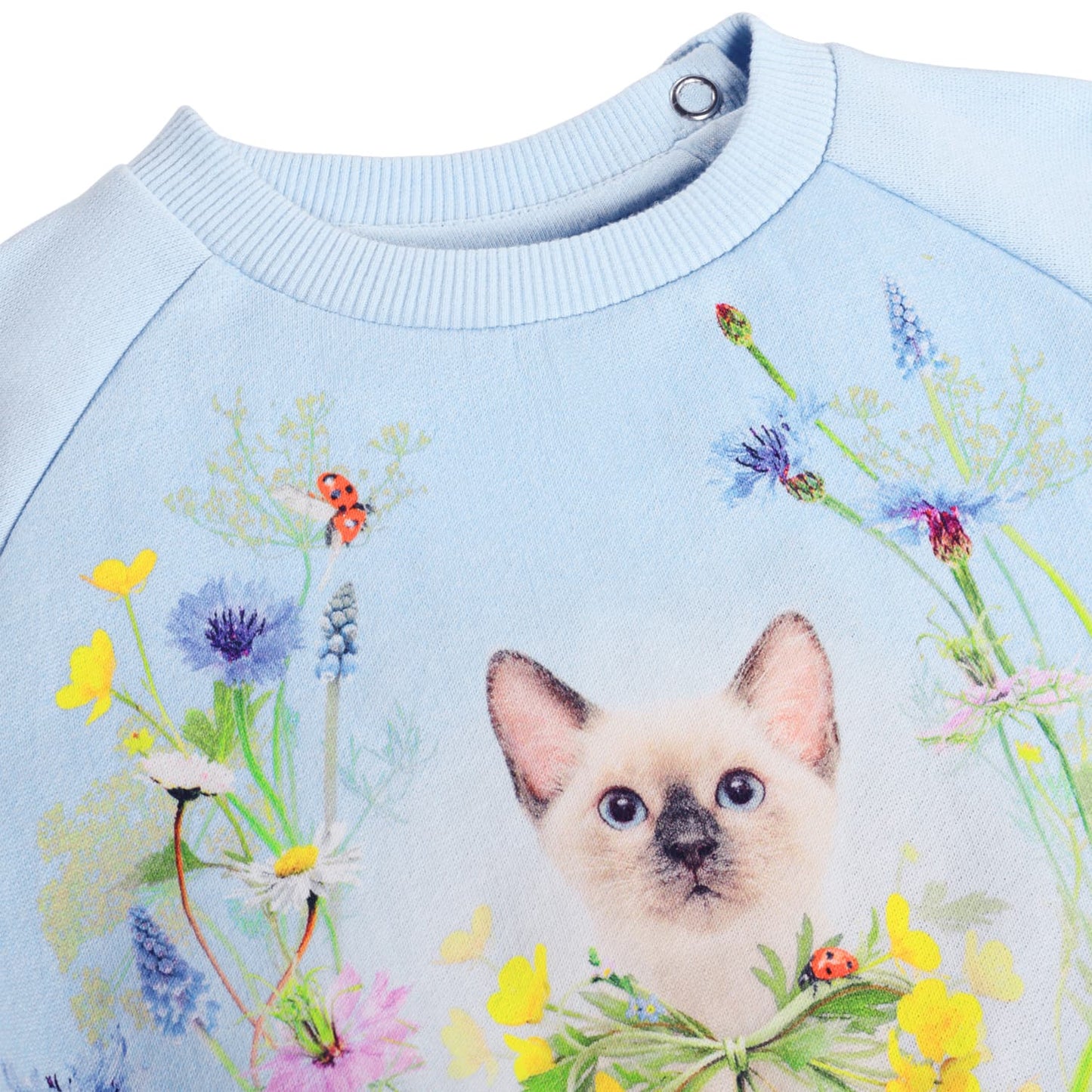 MOLO trøje - Disc Meadow Kitten