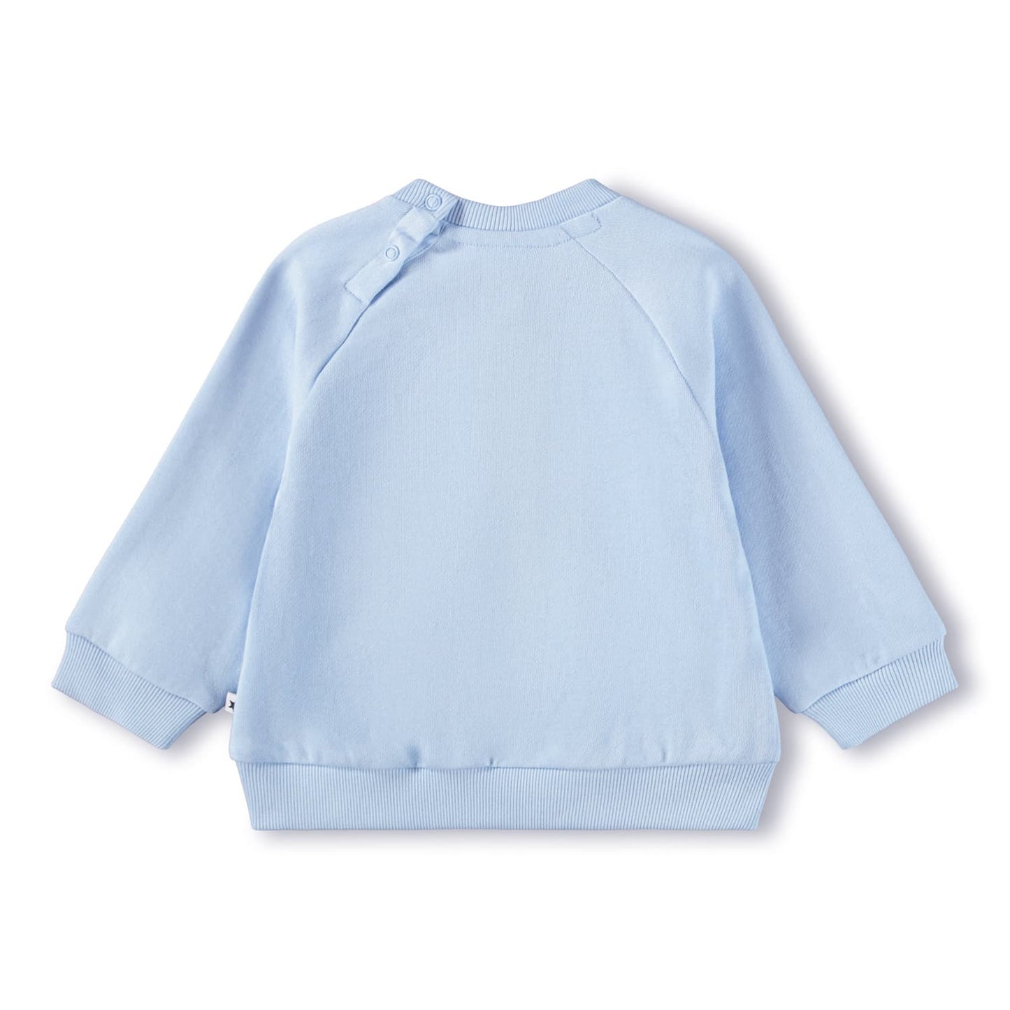 MOLO trøje - Disc Meadow Kitten