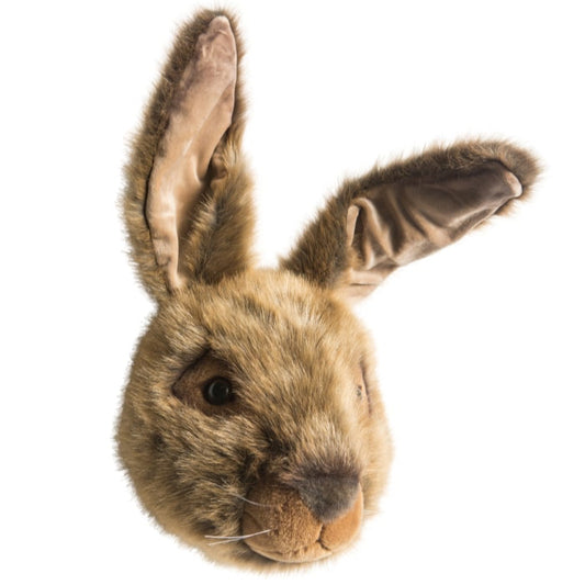 hare trofæ