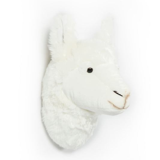 lama trofæ