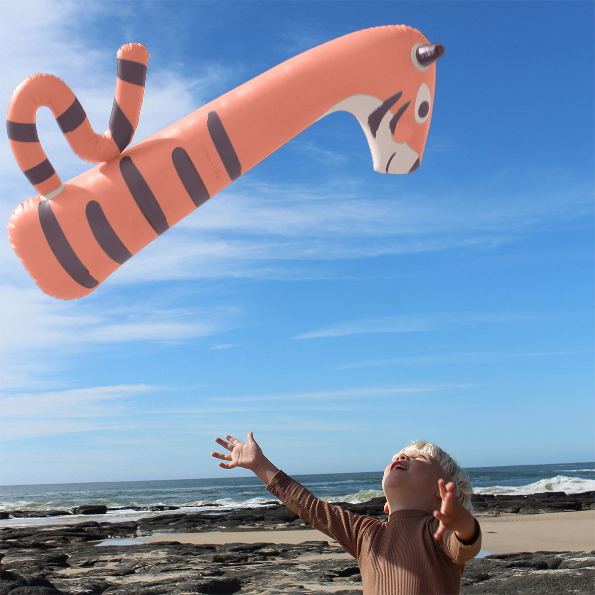 Kids Inflatable Noodle - Tino the Tiger Set of 2