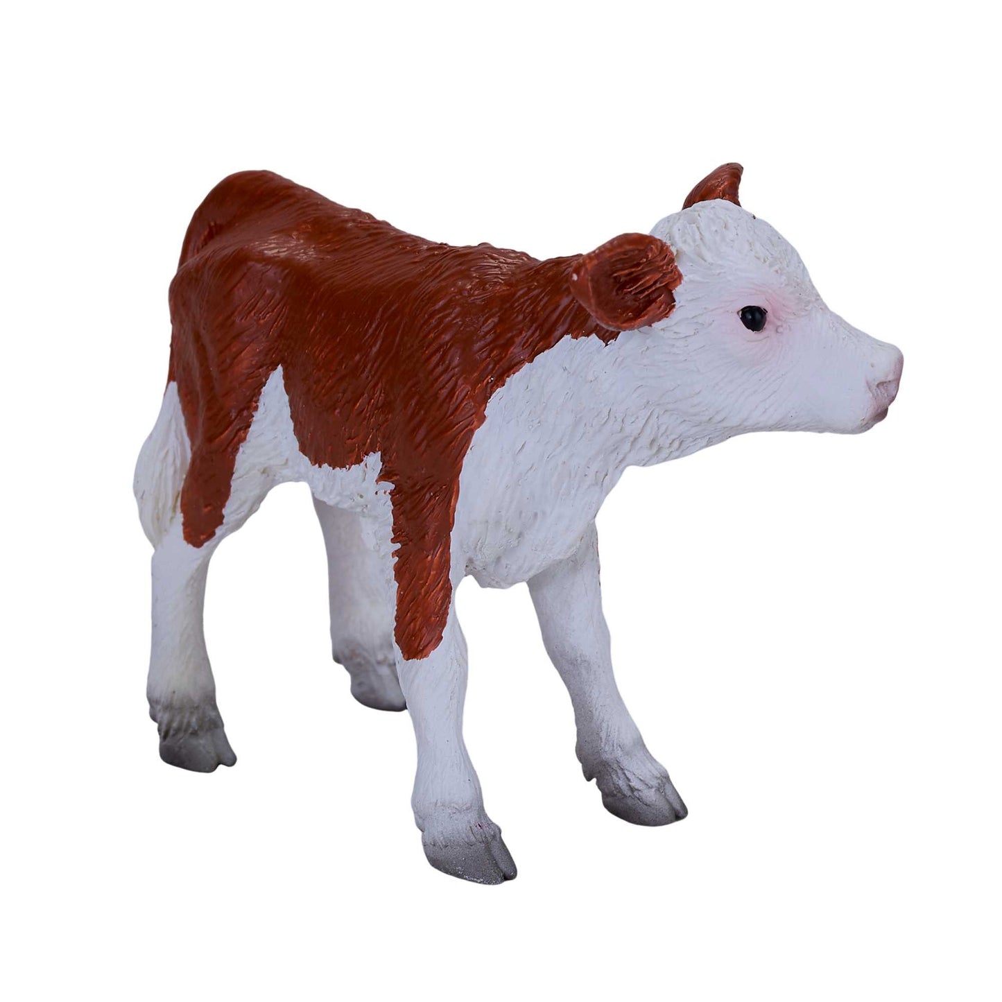 Mojo Hereford kalv