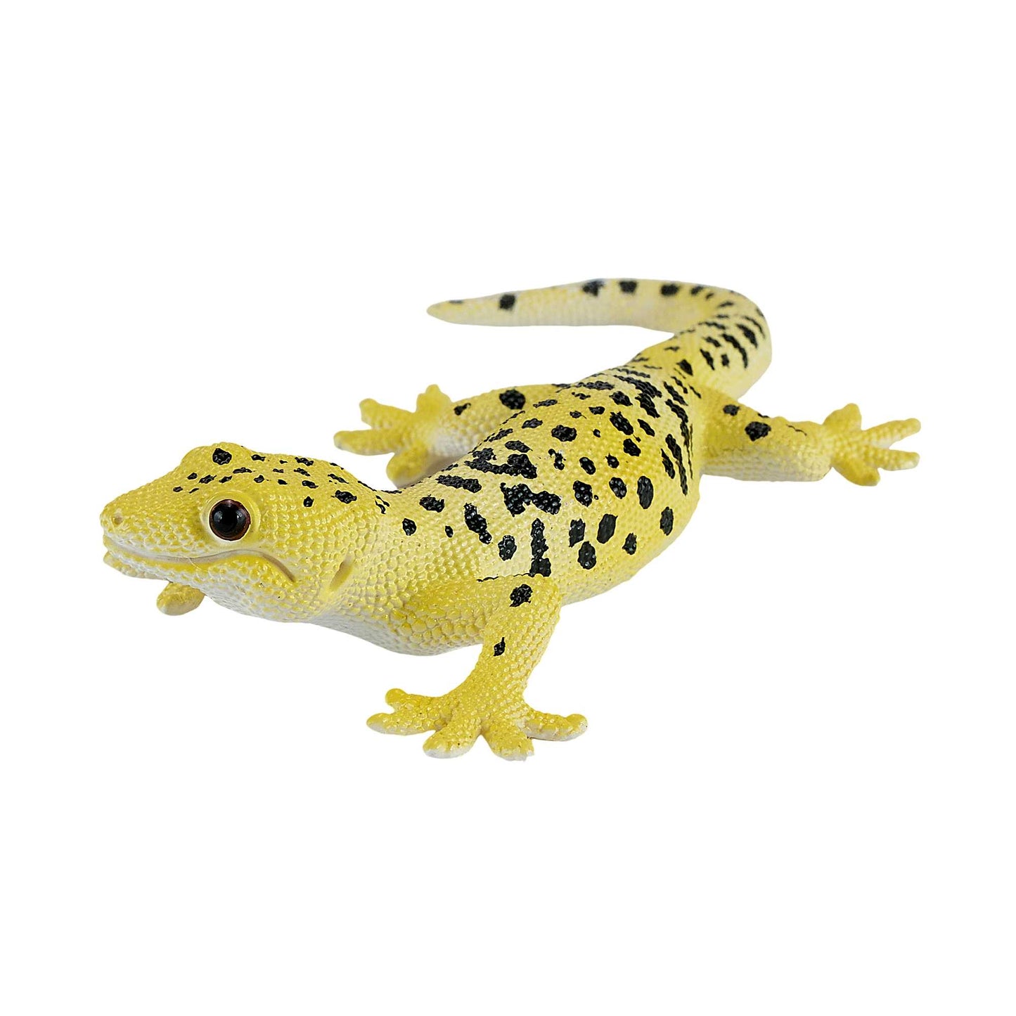 Mojo Leopard gekko