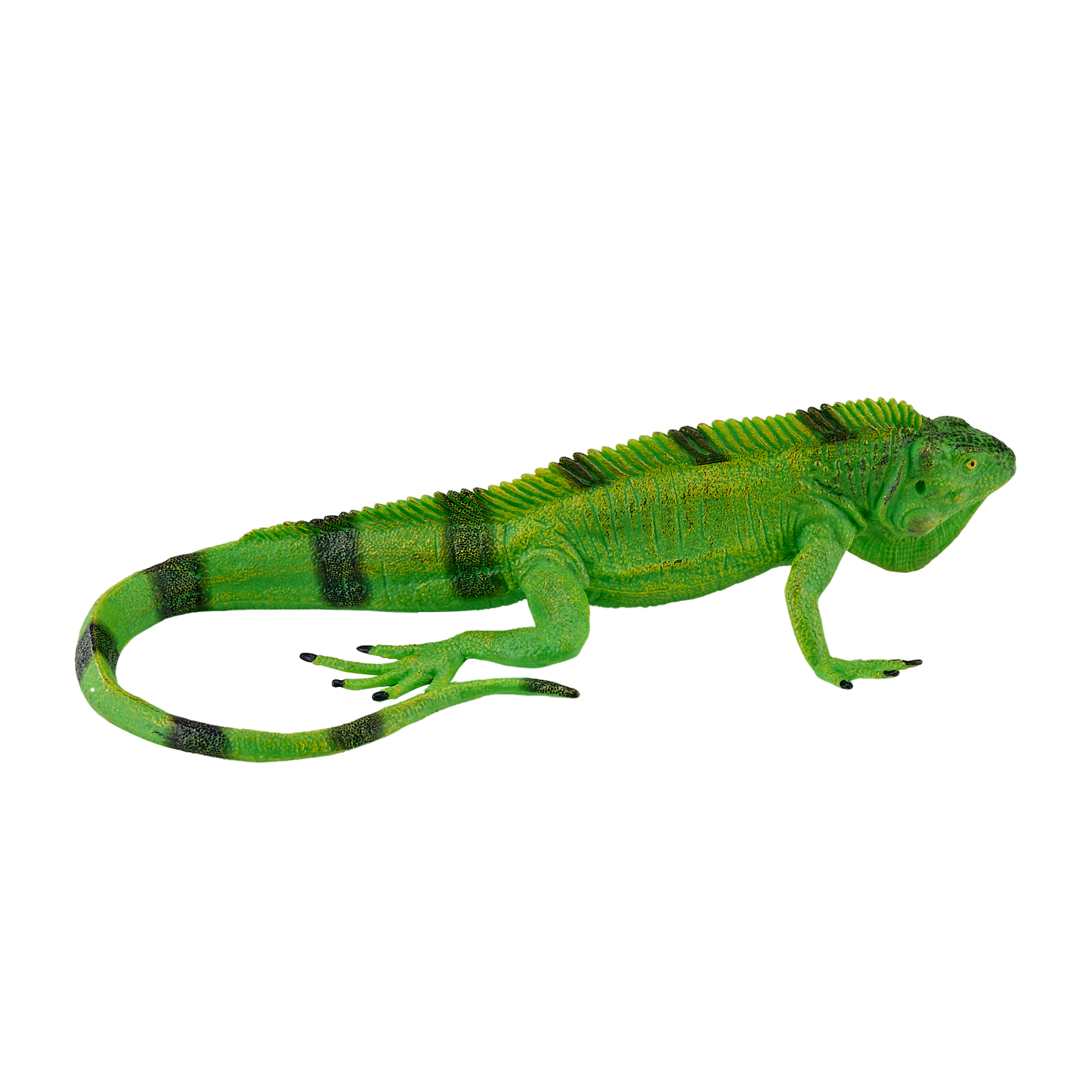 Mojo Leguan