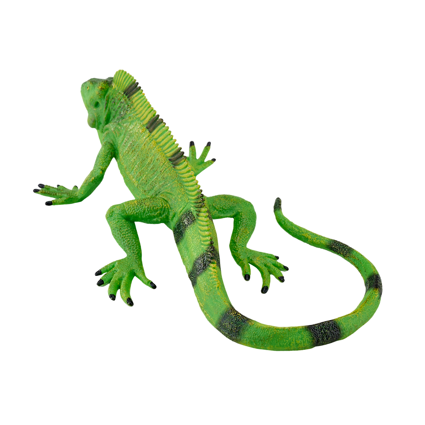 Mojo Leguan