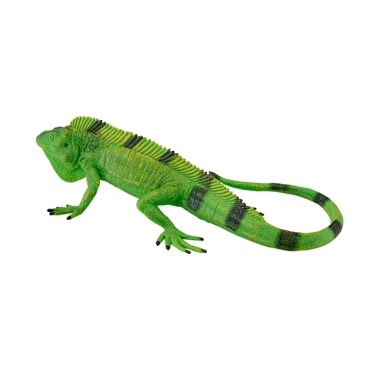 Mojo Leguan
