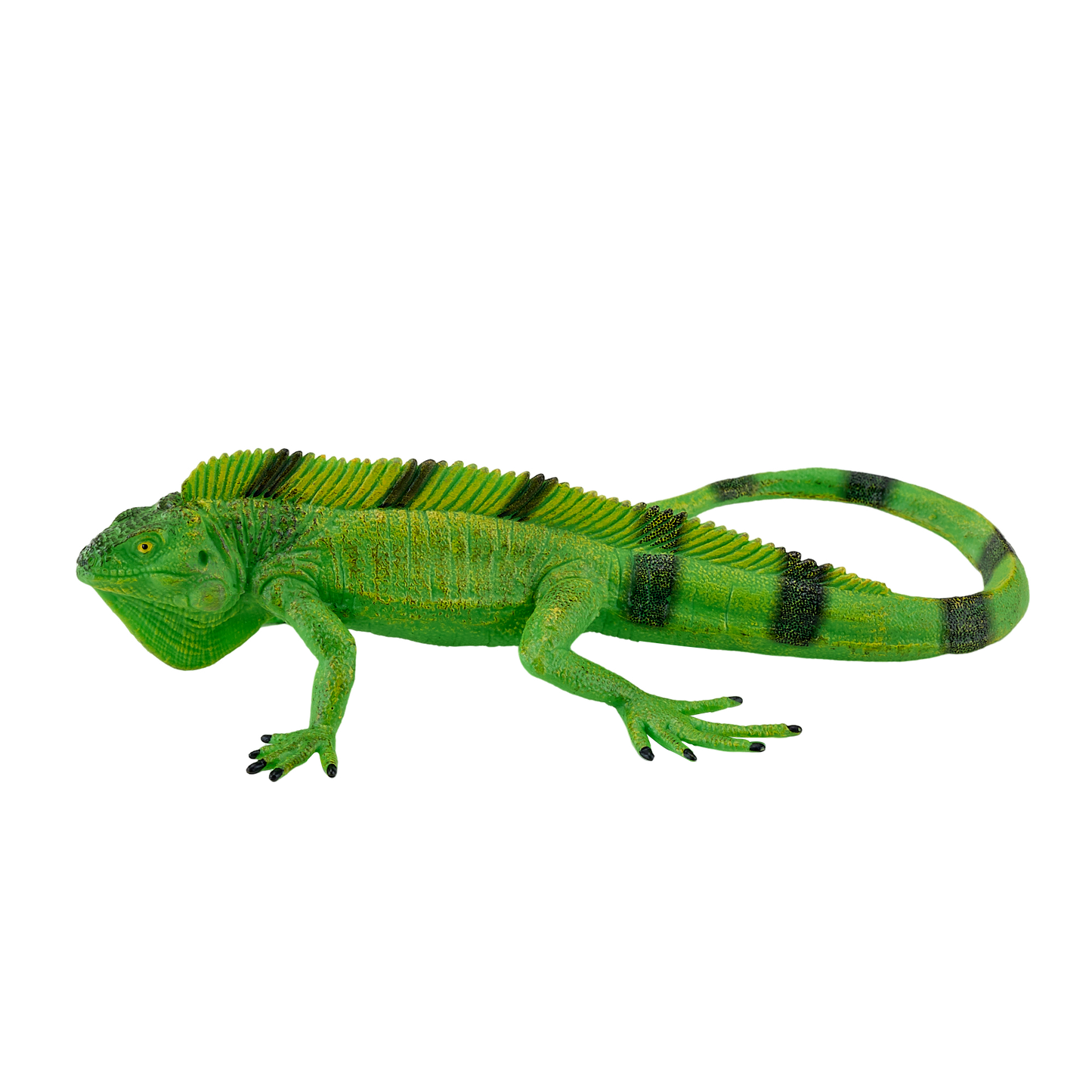 Mojo Leguan