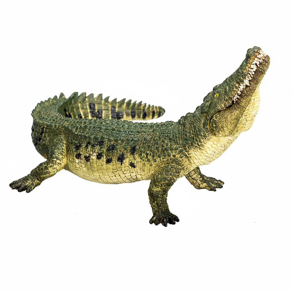 Mojo Krokodille