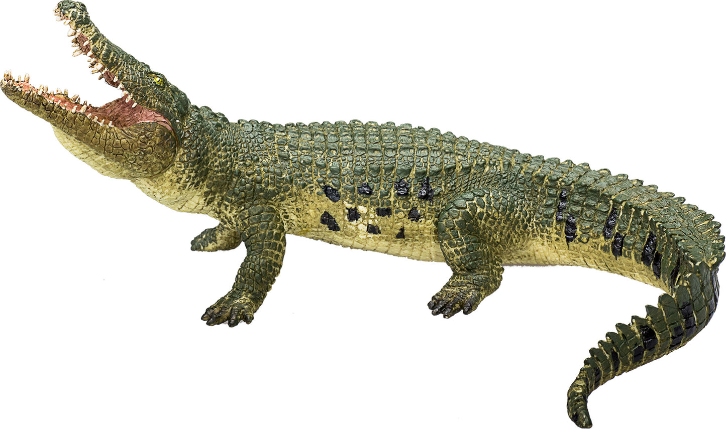 Mojo Krokodille