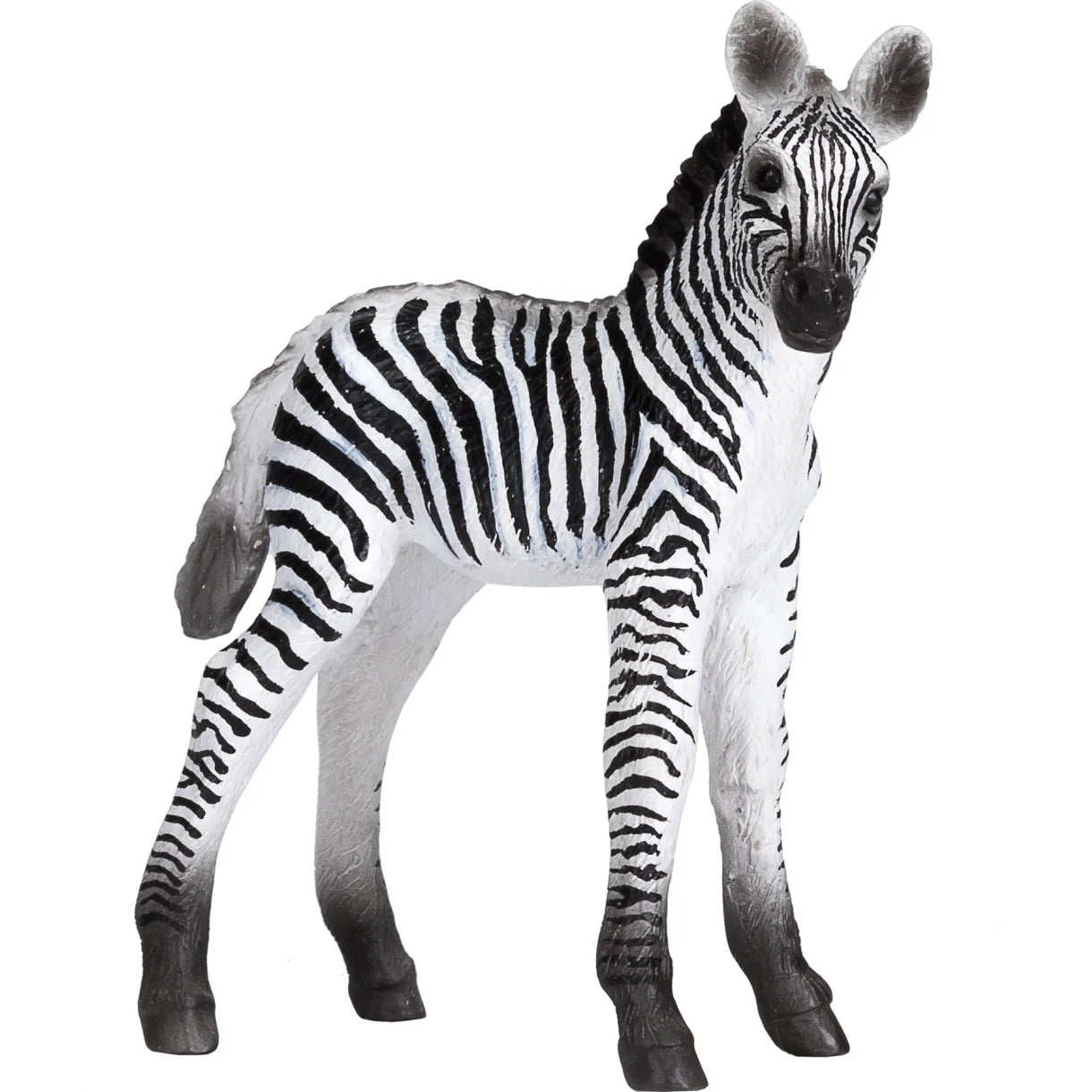 Mojo Zebra Føl