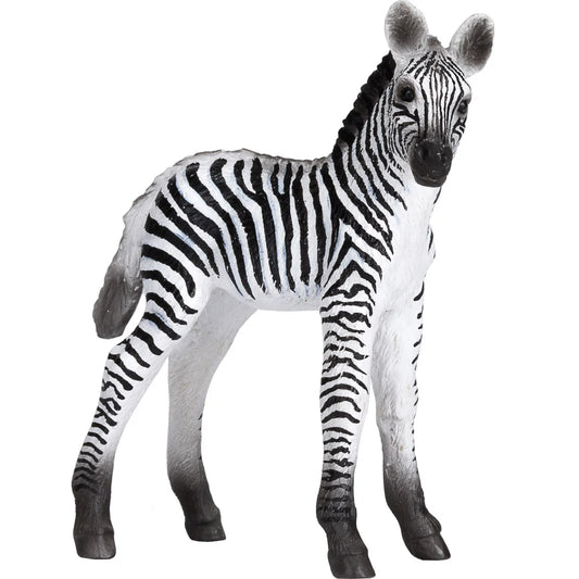 Mojo Zebra Føl