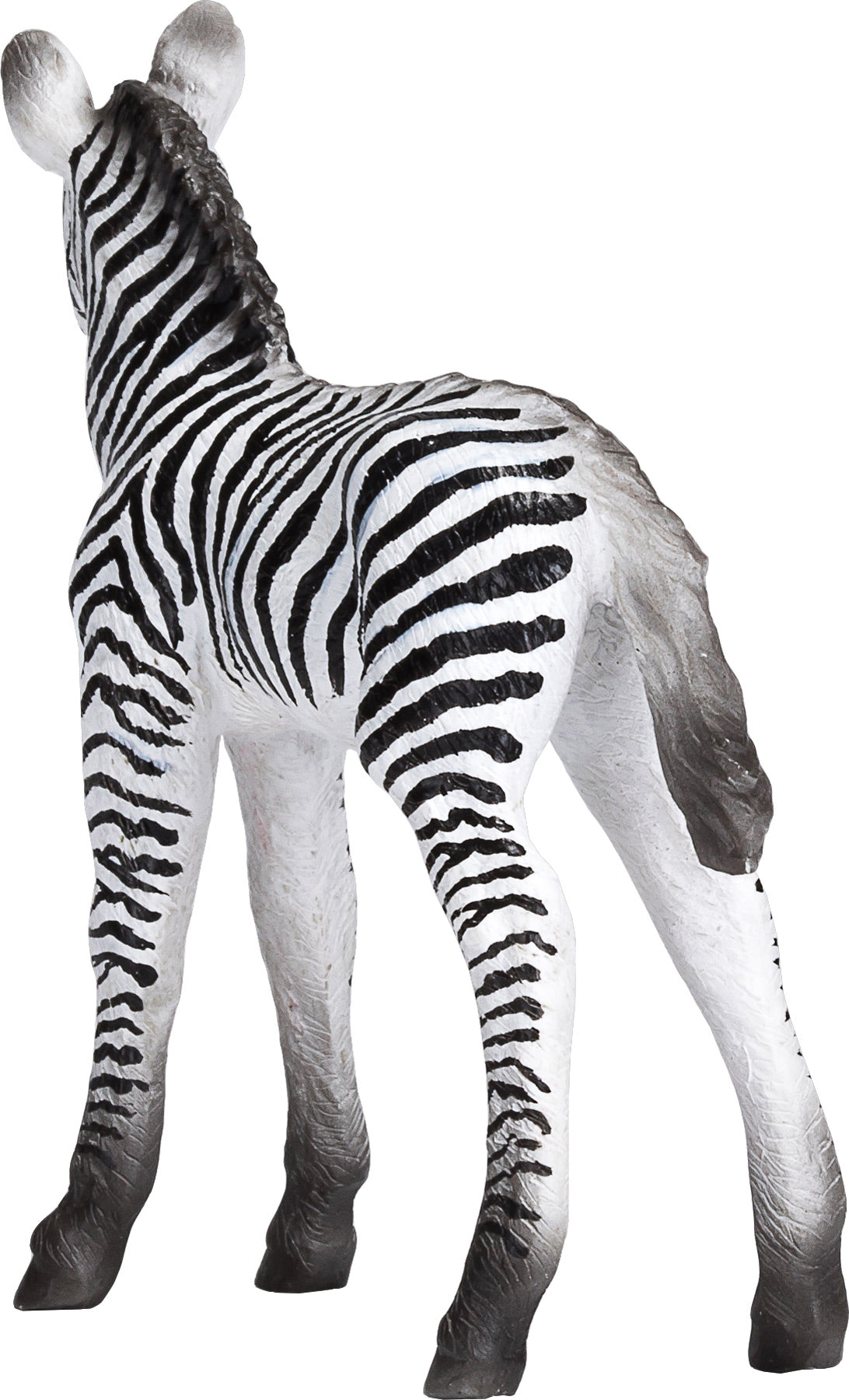 Mojo Zebra Føl
