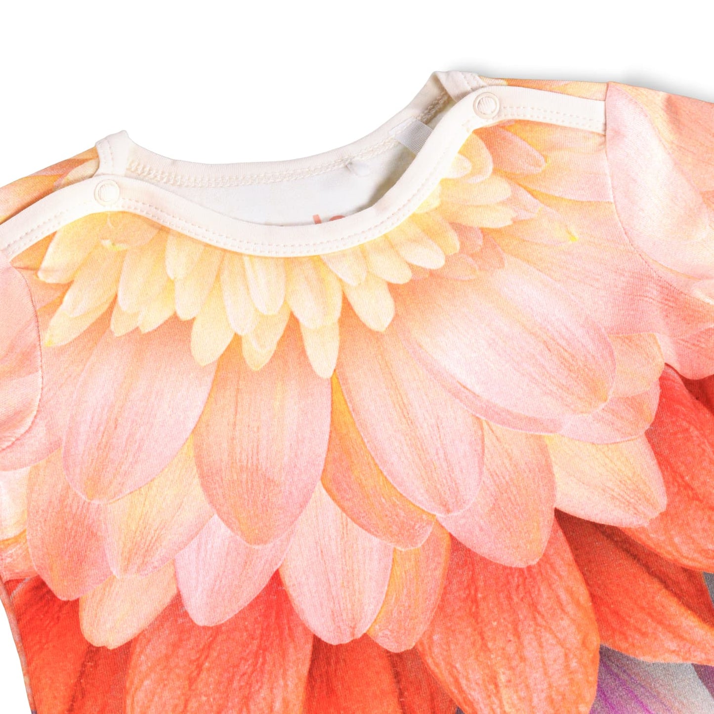 MOLO Body - Foss Bright Petals