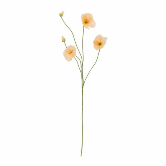 Poppy Stilk, Natur, Kunstige Blomster