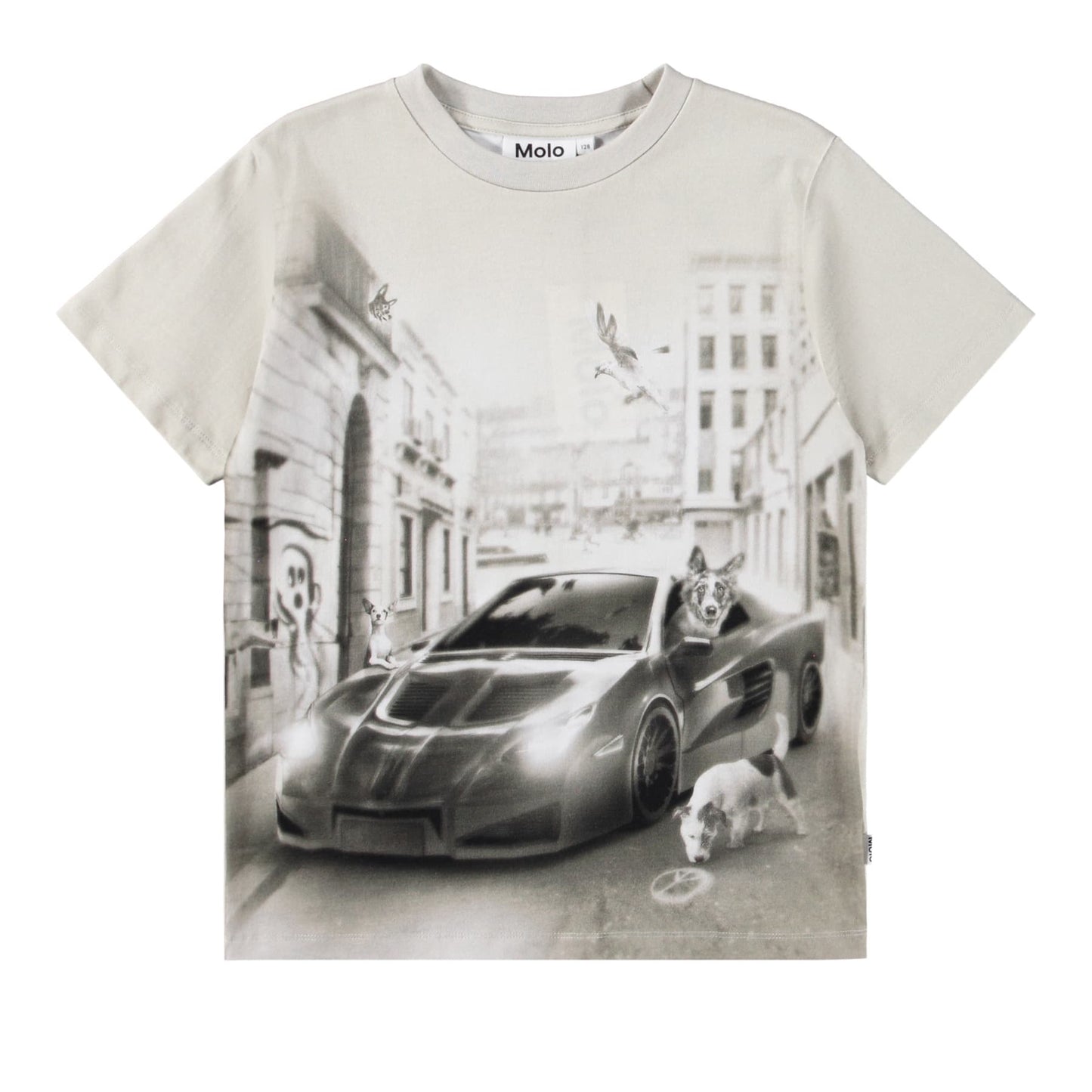 T-shirt - Riley CurioCity Dogs - Molo