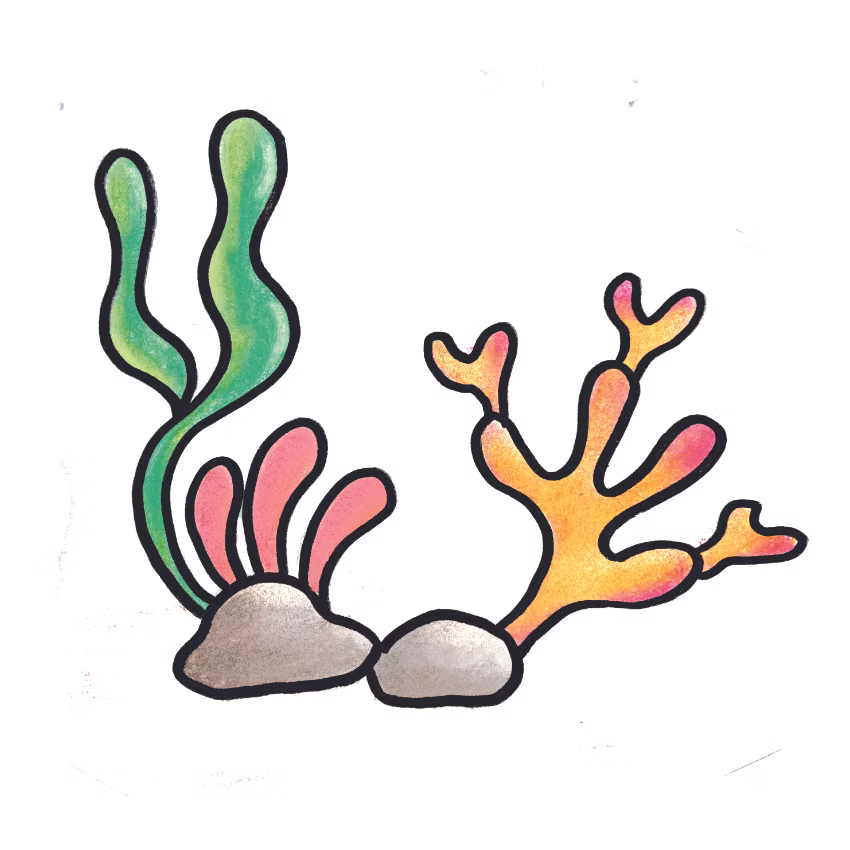 SKAL VI TEGNE - HAVETS DYR