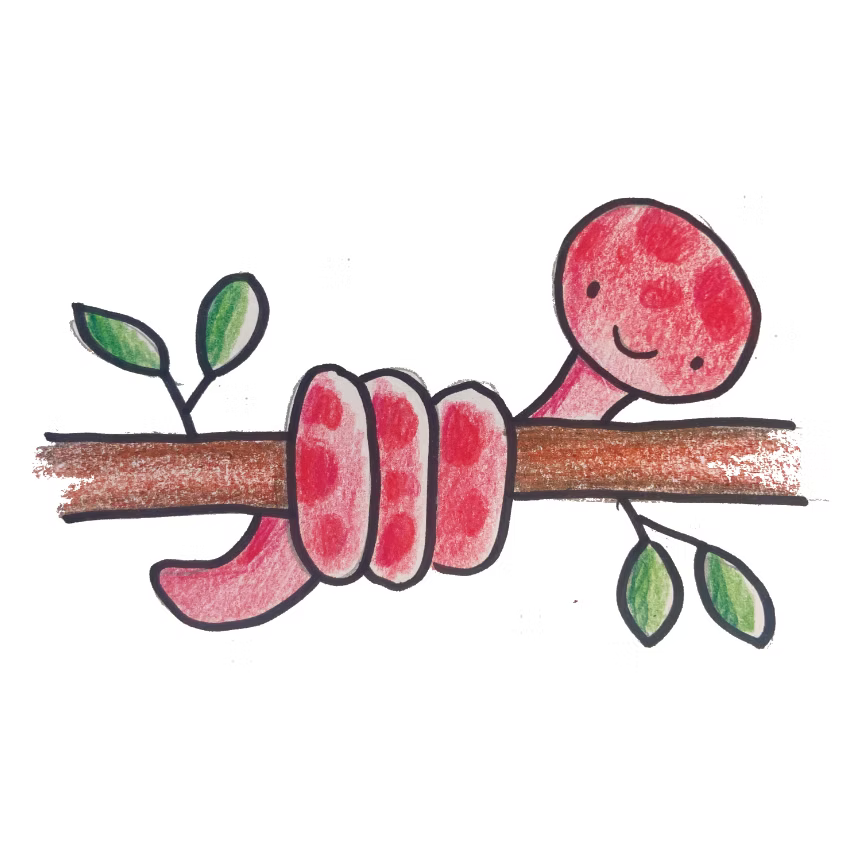 SKAL VI TEGNE - VILDE DYR