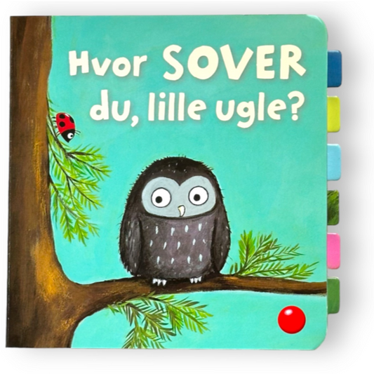 Bog - Hvor SOVER du, lille ugle